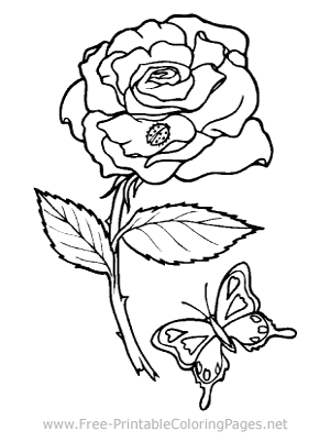 Rose and Butterfly Coloring Page